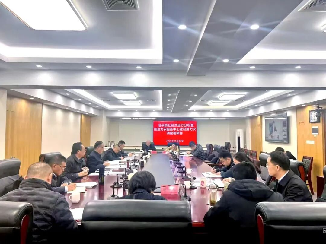 省供销社召开经济运行分析暨推进为农服务中心试点建设视频调度会