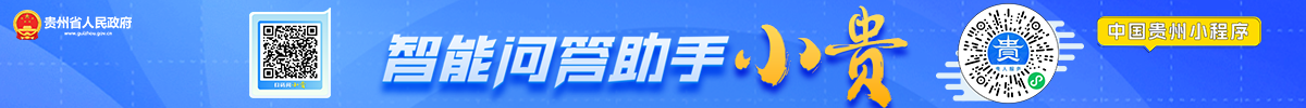 智能问答助手“小贵”