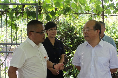 贵州省人民政府副省长吴强（右一）到福江公司产业园区调研，福泉市委副书记、市长曾薇（中）陪同。福泉市供销社主任孙学标向省长汇报产业园发展情况。.JPG